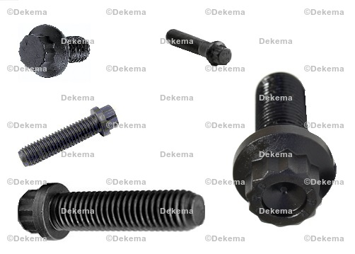 12 Point Bolts