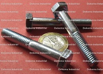 8.8 DIN 960 Bolts