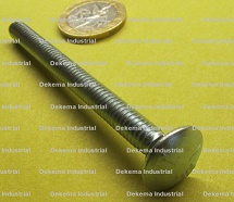 316 Stainless Steel Carriage Bolts