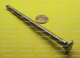 Stainless Steel Carriage Bolts